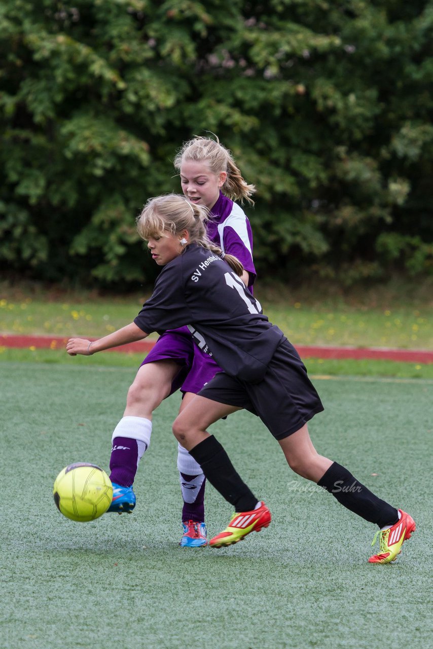 Bild 346 - B-Juniorinnen SV Henstedt Ulzburg - FSC Kaltenkirchen : Ergebnis: 2:2